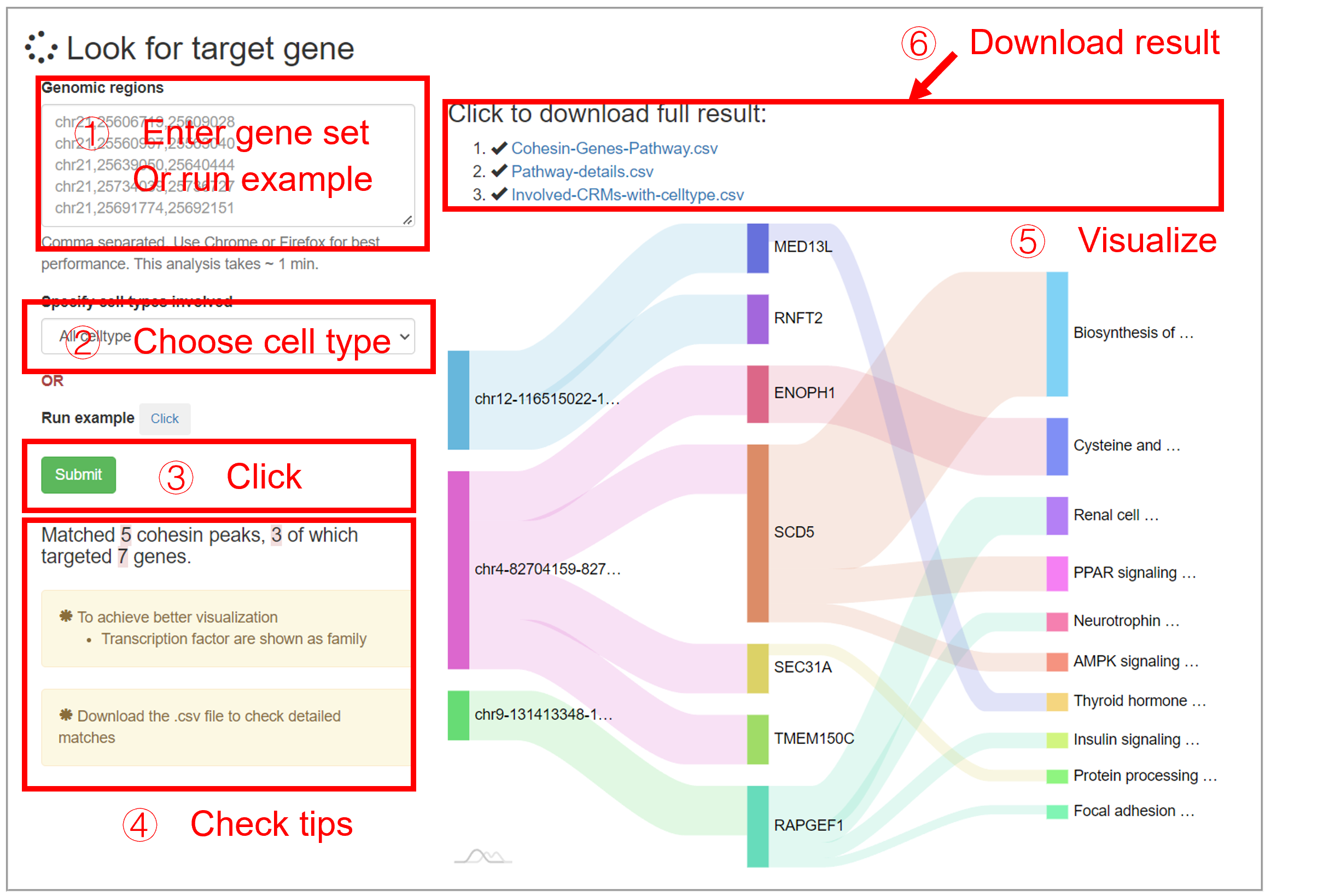 Usage_analyze2_page