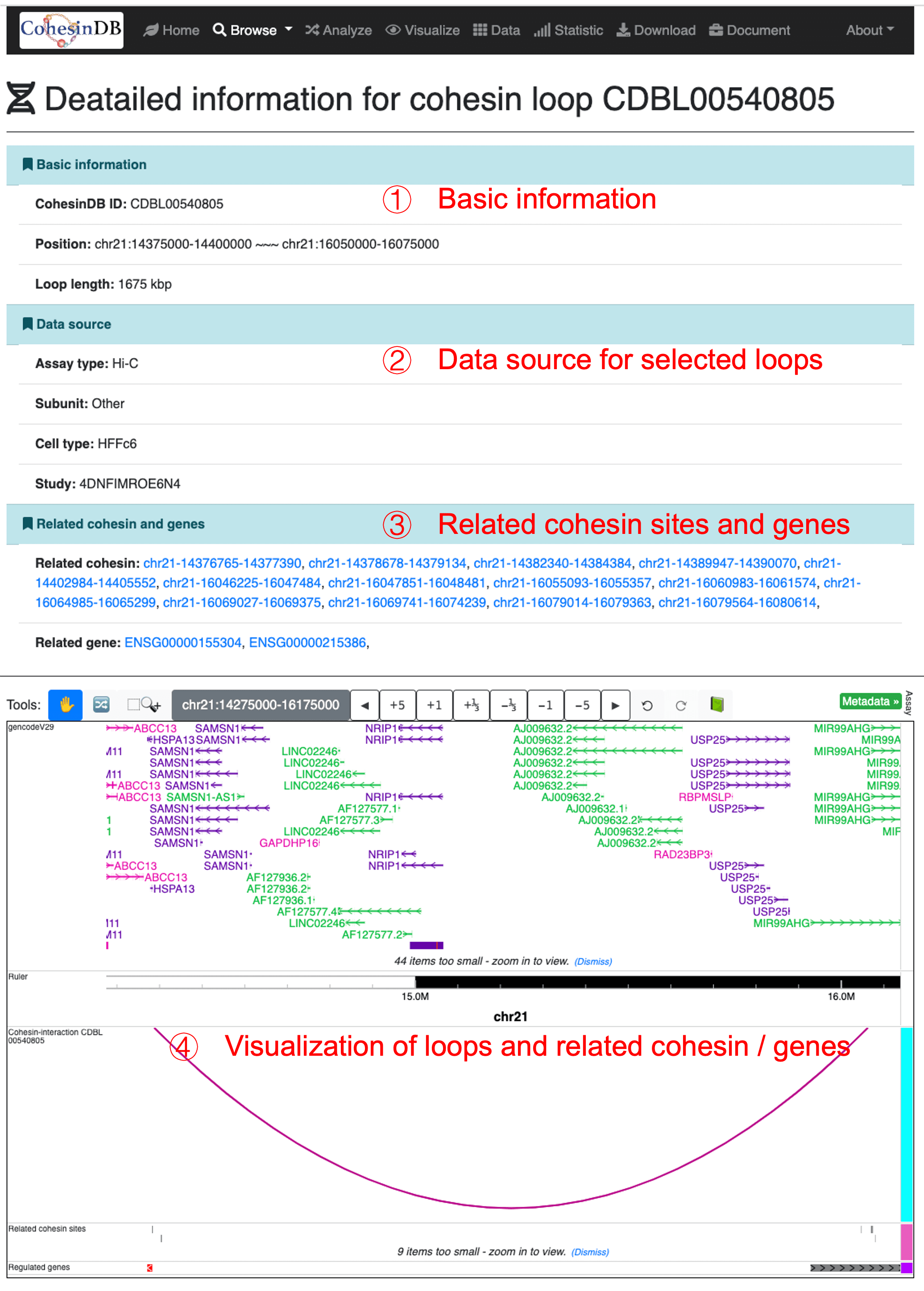Usage_each_loop