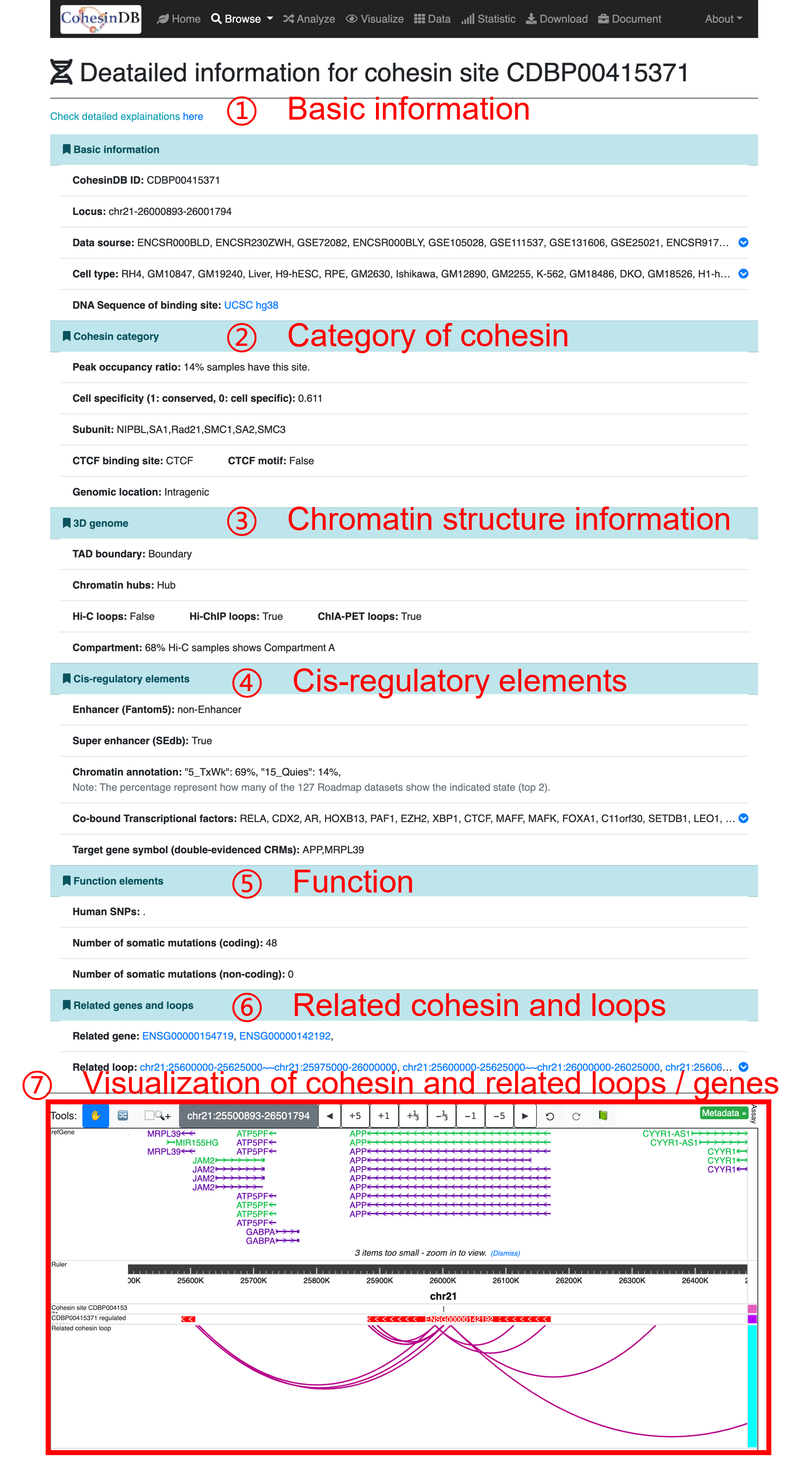 CohesinDB outline
