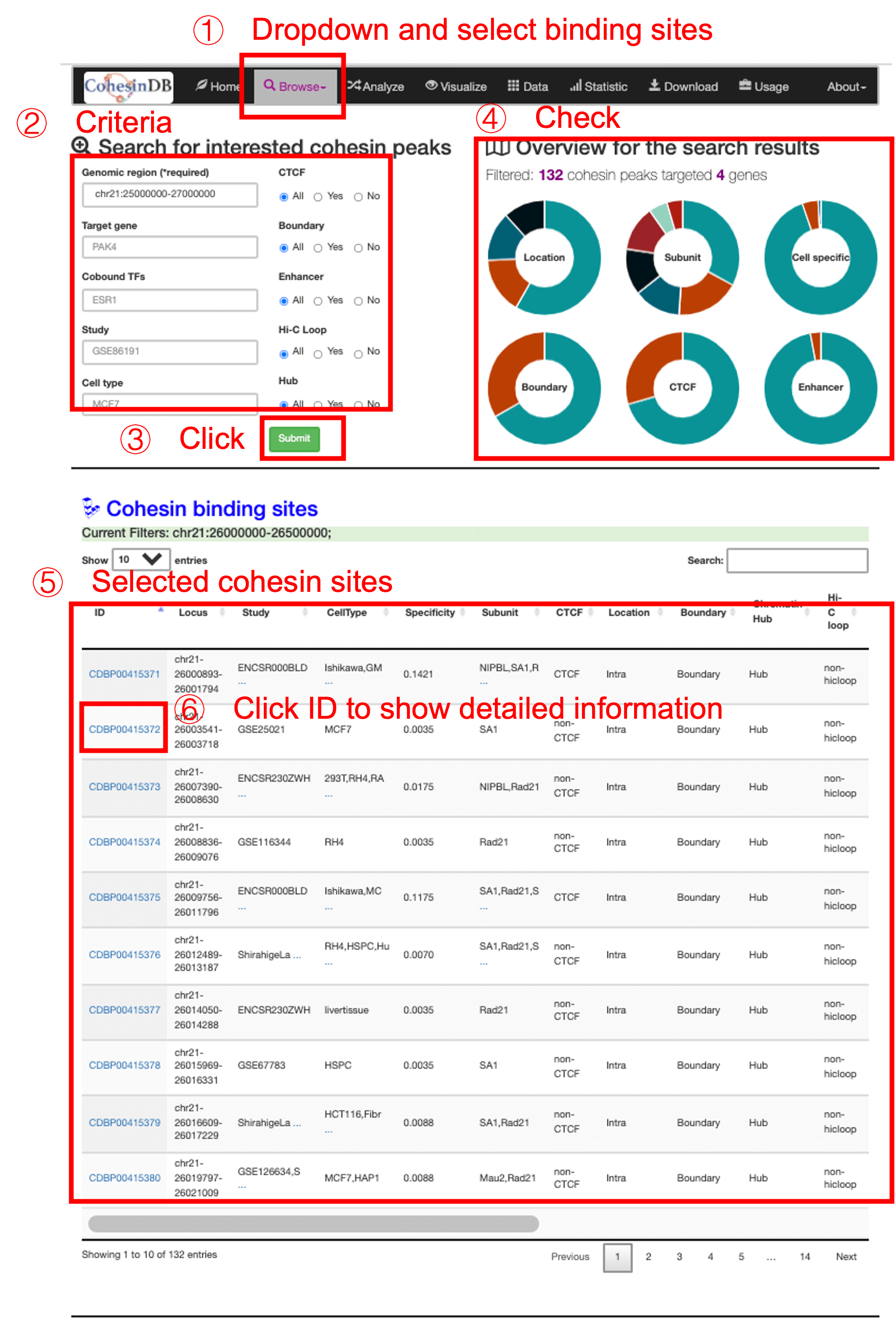 CohesinDB outline